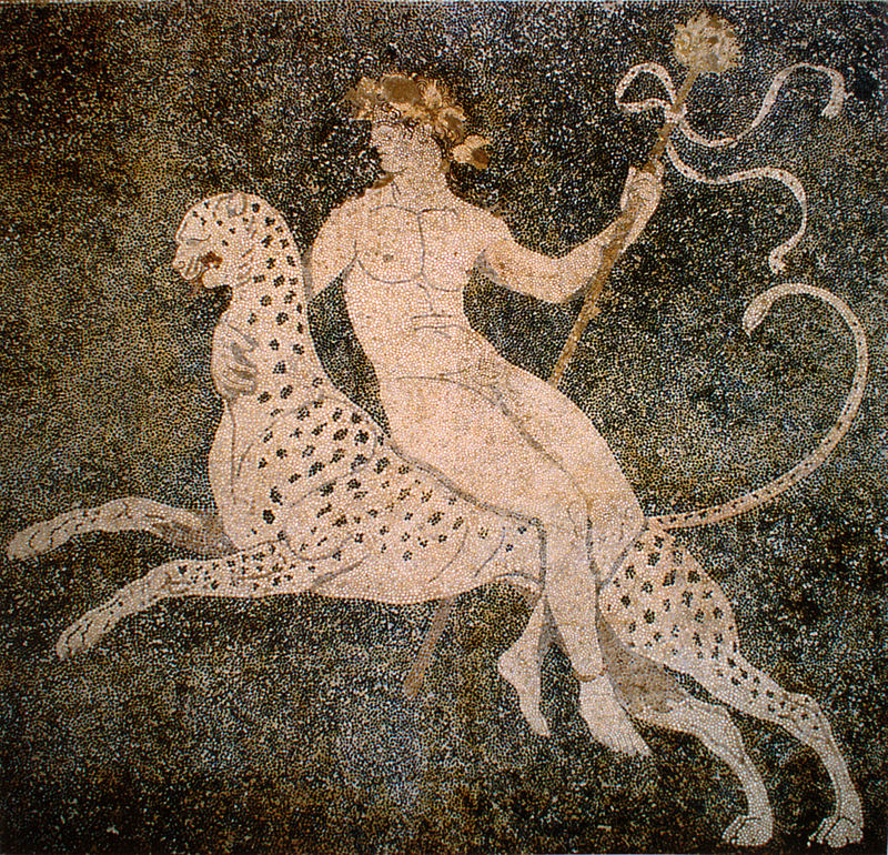 dionysos_on_a_cheetah_pella_greece